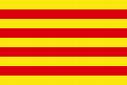 flag_cat